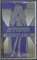 Storm from X-Men - Evolution - Maquettes manufactured by Hard Hero [Front]