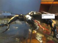 Venom Sinner Takes All Chapter Eleven Comic Strip Panel #8