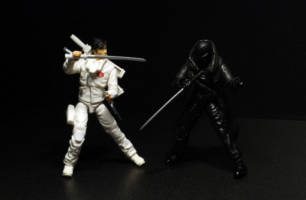 Ninja'D Comic Strip Panel #1