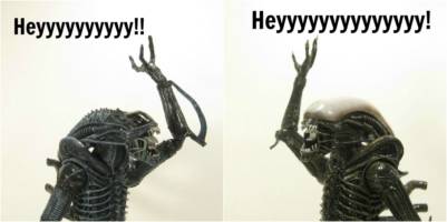 A brief study in the peculiar behavioral traits of the Xenomorph Comic Strip Panel #5