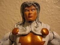 Marvel (Marvel Legends) Custom Action Figure