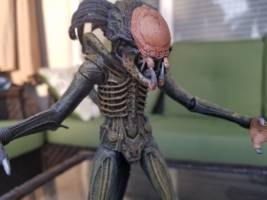 Predalien (concept art inspired) (Alien vs Predator) Custom Action Figure
