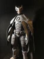 Owlman - From Crisis on Two Earths (DC Universe) Custom Action Figure