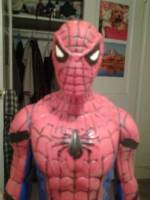 Spider-Man (Marvel) Custom Action Figure