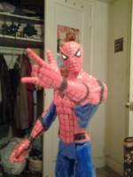 Spider-Man (Marvel) Custom Action Figure