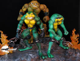 BattleToads (Battletoads) Custom Action Figure