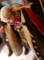 Jared Nomak vampire from blade 2 (Dark Knight) Custom Action Figure [Jared Nomak from blade 2]
