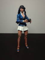 Lois Lane (DC Universe) Custom Action Figure