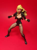 Black Canary (DC Universe) Custom Action Figure