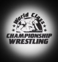 Kevin von Erich (Wrestling) Custom Action Figure