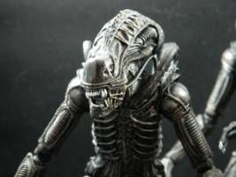 Alien Warriors (Aliens) Custom Action Figure