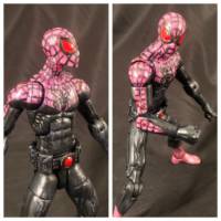 Spider-Man Earth 70105 (Bruce Banner) (Marvel Legends) Custom Action Figure