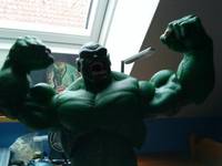 Abomination (Incredible Hulk) Custom Action Figure