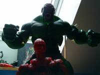 Abomination (Incredible Hulk) Custom Action Figure