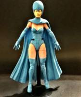 Destiny Brotherhood of evil Mutants (Marvel Legends) Custom Action Figure