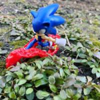 Sonic Figure-Eight Peel-Out Effect (Sonic) Custom Other