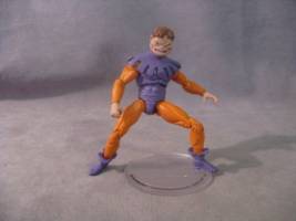 Toad (Marvel Universe) Custom Action Figure