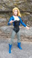 Black Canary (DC Direct) Custom Action Figure