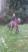 One 12 Scale COWBOY (Western) Custom Action Figure