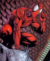 Symbiote The Spider (Marvel Legends) Custom Action Figure