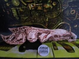 Queen alien Skull-predator Trophy Wall Neca 1:10 (Aliens) Custom Other