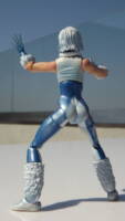 DC Legends: Fire and Ice (Marvel Legends) Custom Action Figure