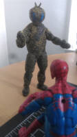Swarm (Spider-Man And His Amazing Friends) (Marvel Legends) Custom Action Figure