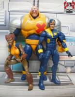 Wolfsbane (Marvel Legends) Custom Action Figure