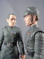 Chief Moradmin Bast (Star Wars) Custom Action Figure