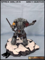 Space Wolves - Grey Hunter (Warhammer) Custom Action Figure