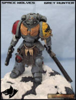 Space Wolves - Grey Hunter (Warhammer) Custom Action Figure