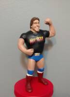 Rowdy Roddy Piper (Wrestling) Custom Action Figure