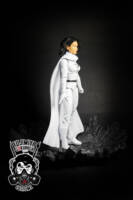 Phantom Girl (Legion of Superheroes) Custom Action Figure