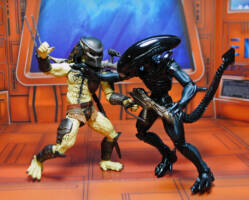 Alien Vs Predator set (Alien vs Predator) Custom Action Figure