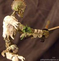 Zombie Storm Shadow (G.I. Joe) Custom Action Figure