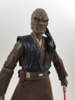 Custom Star Wars Black Series Dark Jedi Sora Bulq (Star Wars) Custom Action Figure