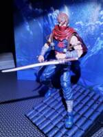 Strider Hiryu (Marvel vs Capcom) Custom Action Figure [STRIDER HIRYU]