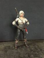 Ciri (Witcher) Custom Action Figure [Completed Figure]