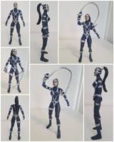 Lashina (DC Universe) Custom Action Figure