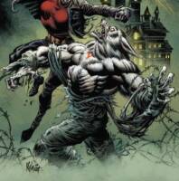 Man Wolf (Marvel Legends) Custom Action Figure [source img]