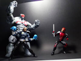 Winter (Image) Custom Action Figure