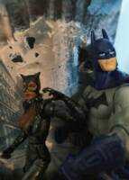 Catwoman double special (Marvel Legends) Custom Action Figure