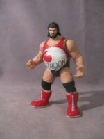 Typhoon (WWE) Custom Action Figure
