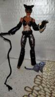 Catwoman (Patience Phillips) (Marvel Legends) Custom Action Figure