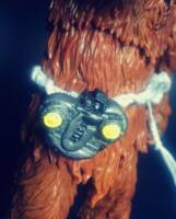 Lowbacca (Star Wars) Custom Action Figure