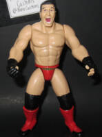 Ken Shamrock [Version 2] (Wrestling) Custom Action Figure
