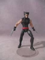 Wolverine (Patch) (Marvel Universe) Custom Action Figure