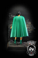 Phantom Lady V2 (DC Universe) Custom Action Figure