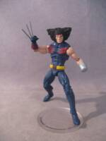Age of Apocalypse Weapon X (Marvel Universe) Custom Action Figure