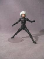 Age of Apocalypse Aurora (Marvel Universe) Custom Action Figure